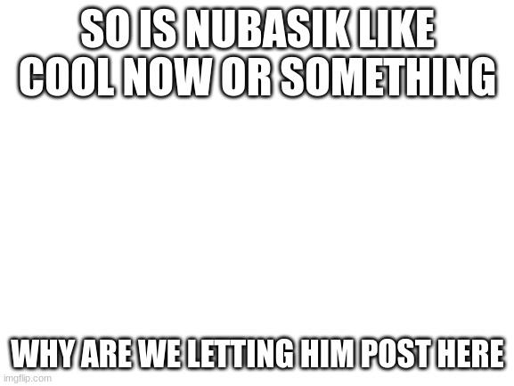 Blank White Template | SO IS NUBASIK LIKE COOL NOW OR SOMETHING; WHY ARE WE LETTING HIM POST HERE | image tagged in blank white template | made w/ Imgflip meme maker