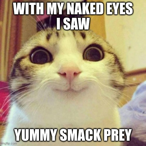 Smiling Cat | WITH MY NAKED EYES
I SAW; YUMMY SMACK PREY | image tagged in memes,smiling cat | made w/ Imgflip meme maker