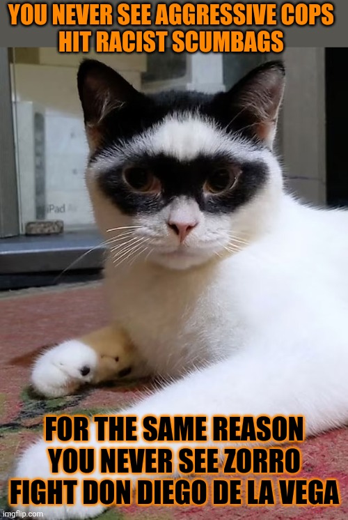This #lolcat wonders why agressive cops never hit racists | YOU NEVER SEE AGGRESSIVE COPS 
HIT RACIST SCUMBAGS; FOR THE SAME REASON YOU NEVER SEE ZORRO FIGHT DON DIEGO DE LA VEGA | image tagged in racism,police,cops,lolcat,think about it | made w/ Imgflip meme maker