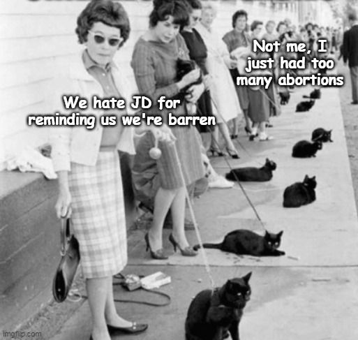 The Infamous Cat Ladies | Not me, I just had too many abortions; We hate JD for reminding us we're barren | image tagged in cat lady meme | made w/ Imgflip meme maker