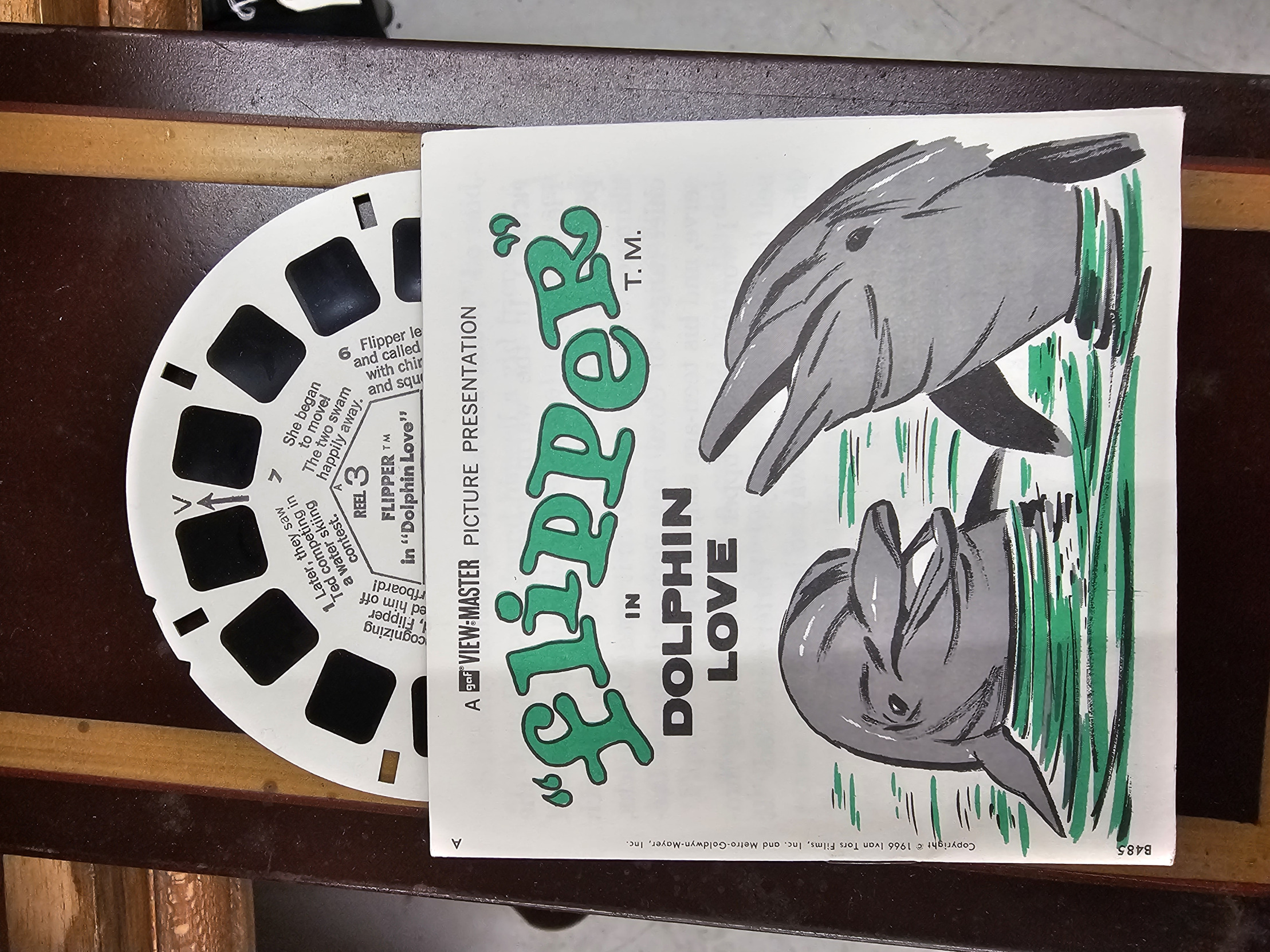 dolphins sex Blank Meme Template