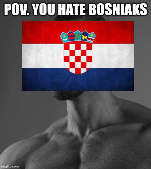 Sigma Male | POV. YOU HATE BOSNIAKS | image tagged in sigma male | made w/ Imgflip meme maker