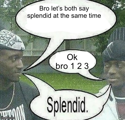 e | Bro let’s both say splendid at the same time; Ok bro 1 2 3 | image tagged in we sell crack splendid | made w/ Imgflip meme maker