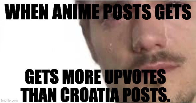 Crying Bro | WHEN ANIME POSTS GETS; GETS MORE UPVOTES THAN CROATIA POSTS. | image tagged in crying bro | made w/ Imgflip meme maker