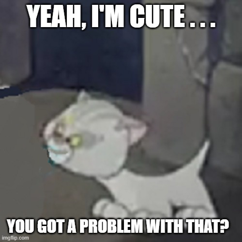 Yet Another Adorable Cartoon Kitten Image | YEAH, I'M CUTE . . . YOU GOT A PROBLEM WITH THAT? | image tagged in cute,kitten,cartoon kitten | made w/ Imgflip meme maker