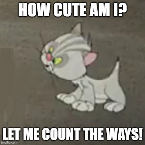 Still Another Adorable Cartoon Kitten Image | HOW CUTE AM I? LET ME COUNT THE WAYS! | image tagged in cute,kitten,cartoon kitten | made w/ Imgflip meme maker