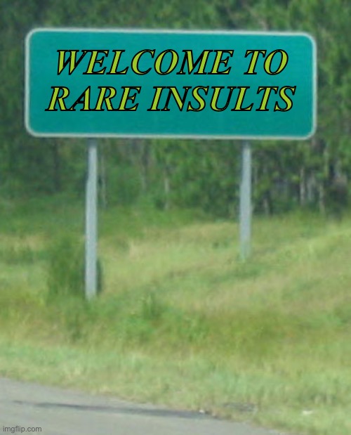 Welcome to | WELCOME TO RARE INSULTS | image tagged in welcome to | made w/ Imgflip meme maker