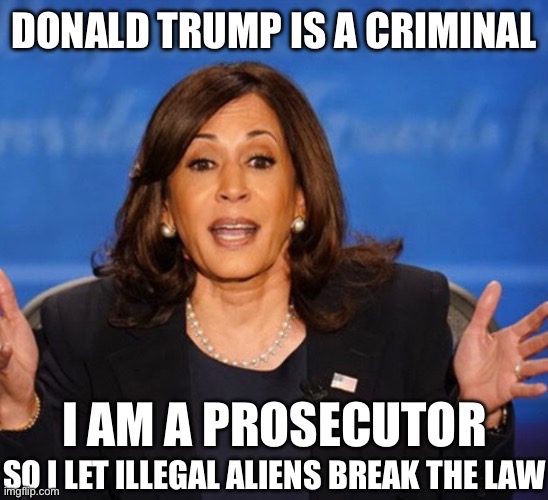 Liberal Logic Strikes Again | DONALD TRUMP IS A CRIMINAL; I AM A PROSECUTOR; SO I LET ILLEGAL ALIENS BREAK THE LAW | image tagged in kamala harris,liberal logic,liberal hypocrisy,donald trump | made w/ Imgflip meme maker