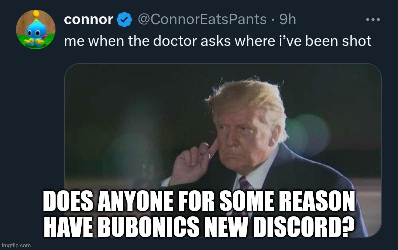 Trump | DOES ANYONE FOR SOME REASON HAVE BUBONICS NEW DISCORD? | image tagged in trump | made w/ Imgflip meme maker