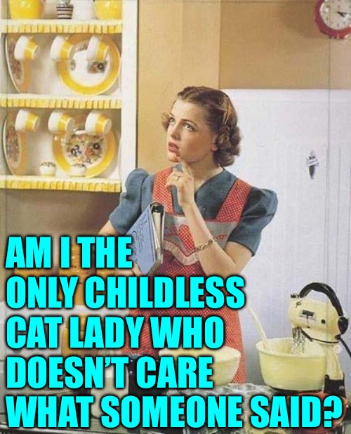 Vintage Kitchen Query | AM I THE ONLY CHILDLESS CAT LADY WHO DOESN’T CARE WHAT SOMEONE SAID? | image tagged in vintage kitchen query | made w/ Imgflip meme maker