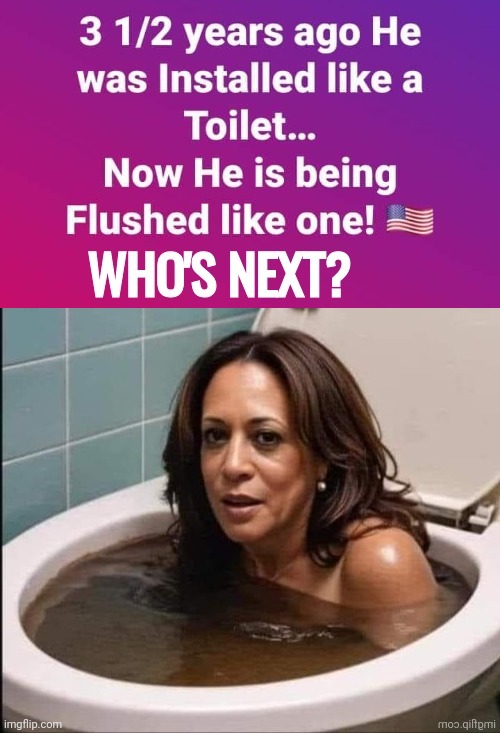 Installed like a Toilet Hobama | image tagged in kamala harris,toilet | made w/ Imgflip meme maker