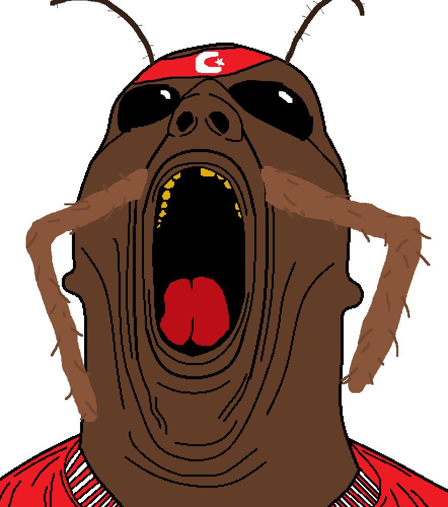 Turkish wojak Blank Meme Template