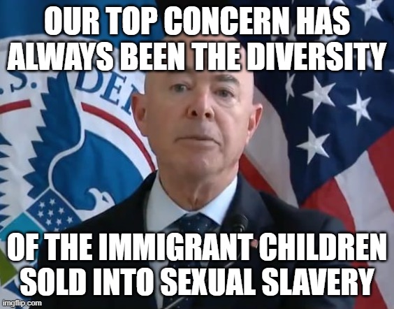 Homeland Insecurity | OUR TOP CONCERN HAS ALWAYS BEEN THE DIVERSITY; OF THE IMMIGRANT CHILDREN SOLD INTO SEXUAL SLAVERY | image tagged in moron mayorkas | made w/ Imgflip meme maker