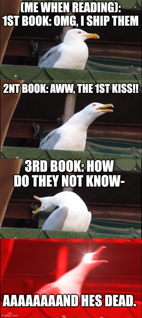 Inhaling Seagull | (ME WHEN READING): 1ST BOOK: OMG, I SHIP THEM; 2NT BOOK: AWW, THE 1ST KISS!! 3RD BOOK: HOW DO THEY NOT KNOW-; AAAAAAAAND HES DEAD. | image tagged in memes,inhaling seagull | made w/ Imgflip meme maker
