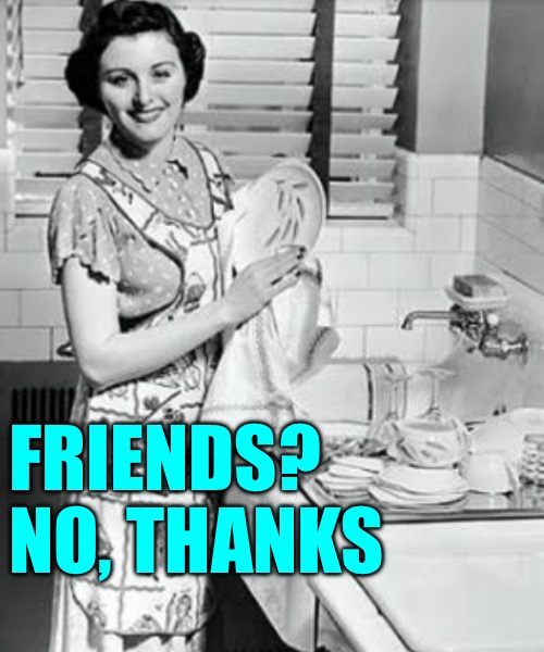 washing dishes | FRIENDS?
NO, THANKS | image tagged in washing dishes | made w/ Imgflip meme maker