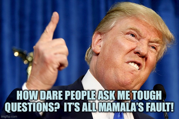 DT put foot in mouth as expected | HOW DARE PEOPLE ASK ME TOUGH QUESTIONS?  IT’S ALL MAMALA’S FAULT! | image tagged in donald trump,memes,black journalists conference | made w/ Imgflip meme maker
