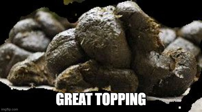 Shit | GREAT TOPPING | image tagged in shit | made w/ Imgflip meme maker