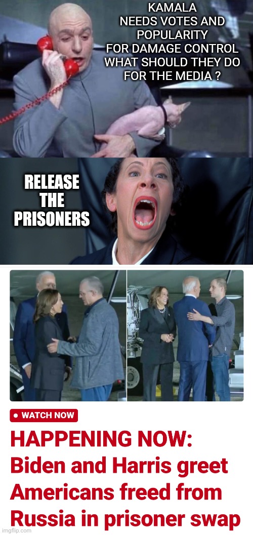 Yea, but we're not buying your 'good deed' | KAMALA NEEDS VOTES AND POPULARITY FOR DAMAGE CONTROL

WHAT SHOULD THEY DO FOR THE MEDIA ? RELEASE THE PRISONERS | image tagged in dr evil and frau,harris,pander,media | made w/ Imgflip meme maker