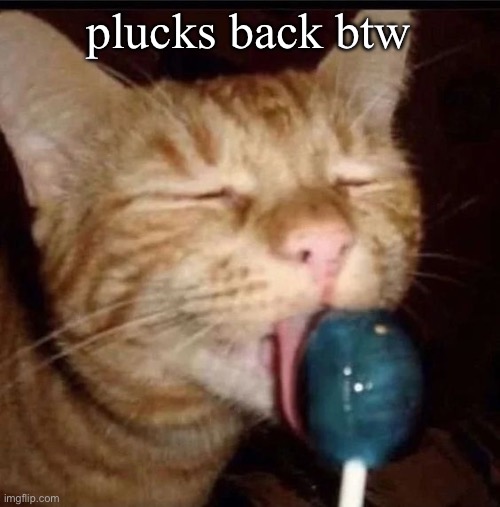 silly goober 2 | plucks back btw | image tagged in silly goober 2 | made w/ Imgflip meme maker