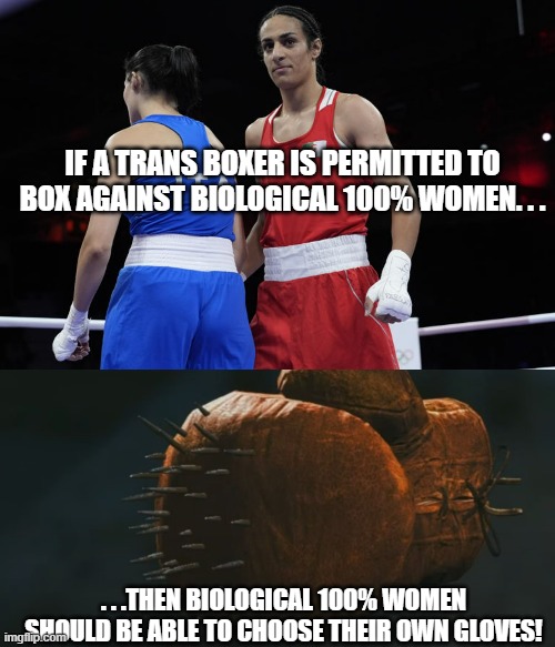How to 'level' this particular 'playing field'. | IF A TRANS BOXER IS PERMITTED TO BOX AGAINST BIOLOGICAL 100% WOMEN. . . . . .THEN BIOLOGICAL 100% WOMEN SHOULD BE ABLE TO CHOOSE THEIR OWN GLOVES! | image tagged in imane khelif trans-woman boxer,olympics,politics | made w/ Imgflip meme maker