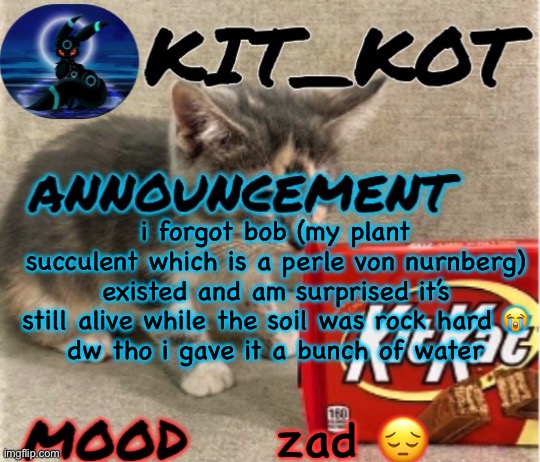 … | i forgot bob (my plant succulent which is a perle von nurnberg) existed and am surprised it’s still alive while the soil was rock hard 😭
dw tho i gave it a bunch of water; zad 😔 | made w/ Imgflip meme maker