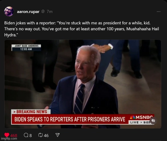 Dark Brandon Hail Hydra | image tagged in politics,joe biden,biden,hail hydra,no way home | made w/ Imgflip meme maker