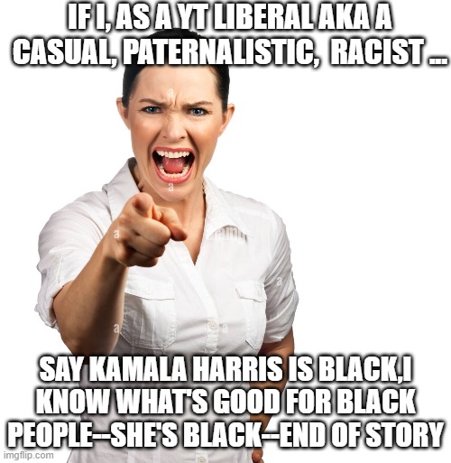 white liberals | IF I, AS A YT LIBERAL AKA A CASUAL, PATERNALISTIC,  RACIST ... SAY KAMALA HARRIS IS BLACK,I KNOW WHAT'S GOOD FOR BLACK PEOPLE--SHE'S BLACK--END OF STORY | made w/ Imgflip meme maker