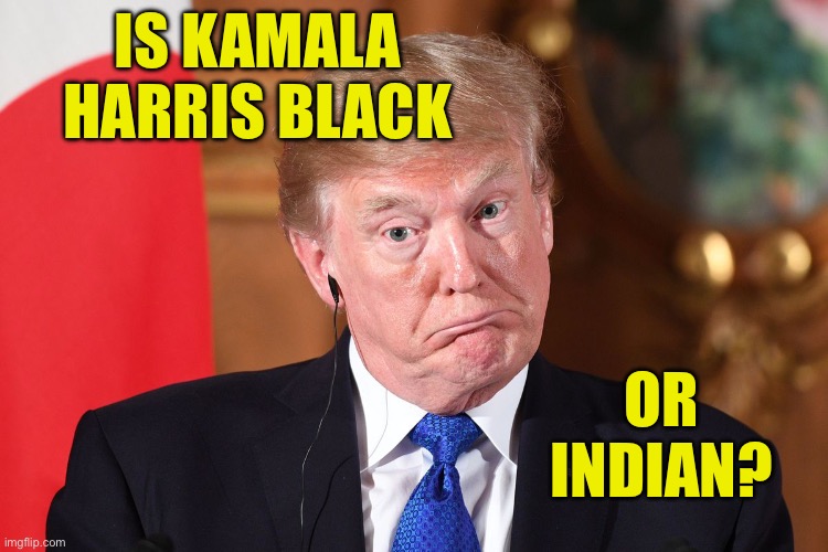 'Is She Black Or Indian?': Trump Attacks Harris's Racial Identity | IS KAMALA
HARRIS BLACK; OR
INDIAN? | image tagged in trump dumbfounded,kamala harris,racism,no racism,donald trump,scumbag america | made w/ Imgflip meme maker