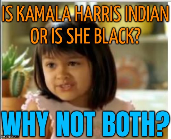 Is she Indian or is she Black? Why not both? | IS KAMALA HARRIS INDIAN
OR IS SHE BLACK? WHY NOT BOTH? | image tagged in why not both,racism,kamala harris,donald trump,scumbag america,indian | made w/ Imgflip meme maker