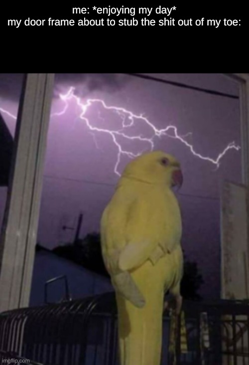 my dad is a boy | me: *enjoying my day*

my door frame about to stub the shit out of my toe: | image tagged in lightning birb | made w/ Imgflip meme maker