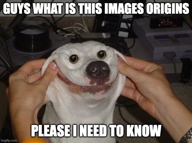 WHERE IS IT FROM AND WHY | GUYS WHAT IS THIS IMAGES ORIGINS; PLEASE I NEED TO KNOW | image tagged in forced to smile dog | made w/ Imgflip meme maker