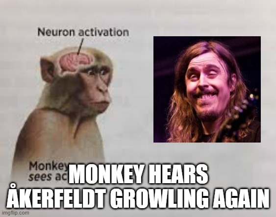 Neuron activation | MONKEY HEARS ÅKERFELDT GROWLING AGAIN | image tagged in neuron activation | made w/ Imgflip meme maker