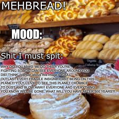 Breadnouncment 3.0 | WHY DID YOU MAKE ME DO THIS?! YOU'RE FIGHTING SO YOU CAN SEE EVERYONE AROUND YOU DIE! THINK, (person above this image)! YOULL OUTLAST EVERY FRAGILE INSIGNIFICANT BEING ON THIS PLANET! YOU'LL LIVE TO SEE THIS PLANET CRUMBLE TO DUST AND BLOW AWAY! EVERYONE AND EVERYTHING YOU KNOW WILL BE GONE. WHAT WILL YOU HAVE AFTER 500 YEARS?! | image tagged in breadnouncment 3 0 | made w/ Imgflip meme maker