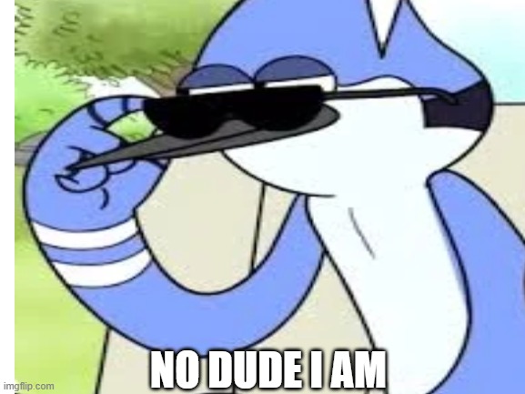 not so sure dude | NO DUDE I AM | image tagged in simp,mordecai,regular show,cartoon network | made w/ Imgflip meme maker