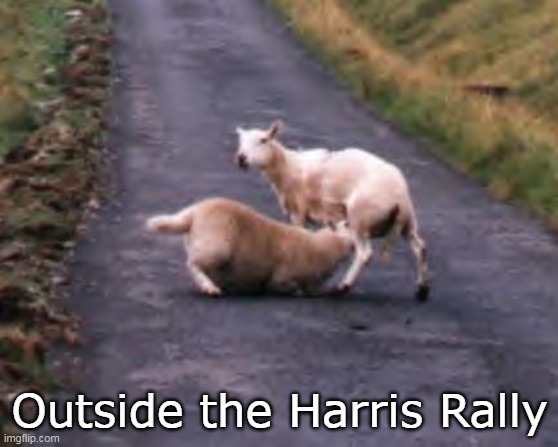 Outside the Harris Rally | made w/ Imgflip meme maker