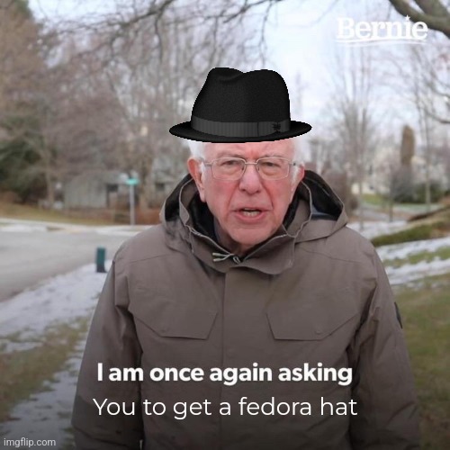 Bernie I Am Once Again Asking For Your Support Meme | You to get a fedora hat | image tagged in memes,bernie i am once again asking for your support,fedora,funny meme,funny memes,funny | made w/ Imgflip meme maker