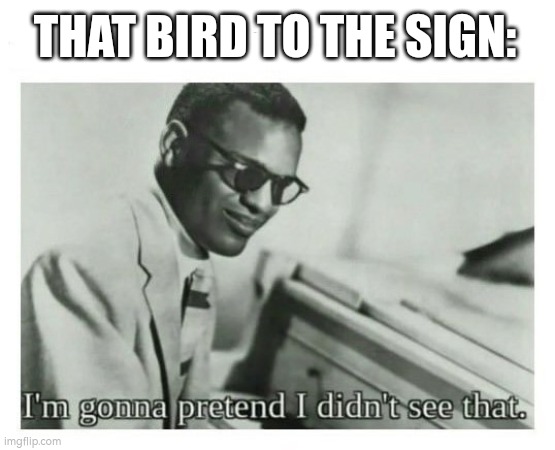 I'm gonna pretend I didn't see that | THAT BIRD TO THE SIGN: | image tagged in i'm gonna pretend i didn't see that | made w/ Imgflip meme maker