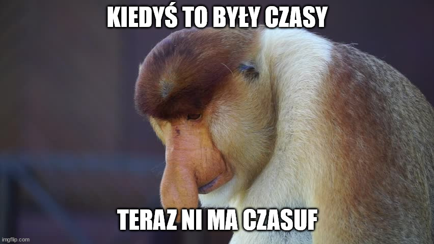 Smutny nosacz | KIEDYŚ TO BYŁY CZASY; TERAZ NI MA CZASUF | image tagged in smutny nosacz | made w/ Imgflip meme maker