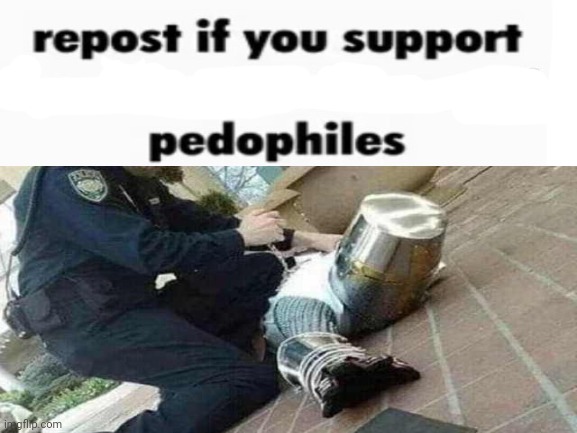 Repost if you support pedophiles | image tagged in repost if you support pedophiles | made w/ Imgflip meme maker