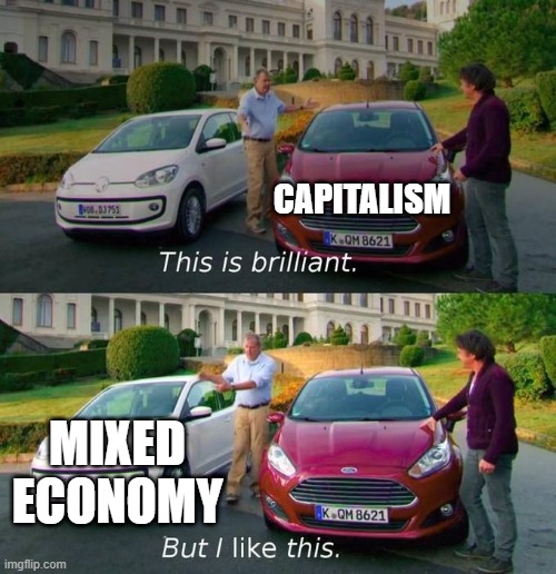 This Is Brilliant But I Like This | CAPITALISM; MIXED ECONOMY | image tagged in this is brilliant but i like this | made w/ Imgflip meme maker