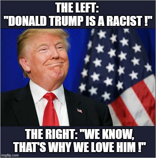 American Politics Summed Up In Two Lines ! | THE LEFT: 
"DONALD TRUMP IS A RACIST !"; THE RIGHT: "WE KNOW, THAT'S WHY WE LOVE HIM !" | image tagged in donald trump,racist,loved,politics | made w/ Imgflip meme maker