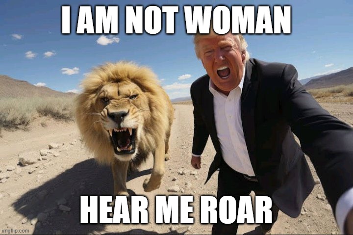 I AM NOT WOMAN; HEAR ME ROAR | made w/ Imgflip meme maker