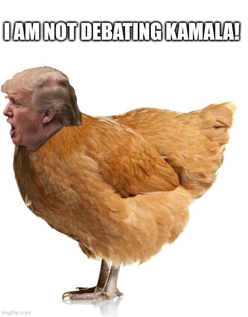 Chicken Trump | I AM NOT DEBATING KAMALA! | image tagged in kamala harris,nevertrump,conservative,donald trump,maga,trump | made w/ Imgflip meme maker