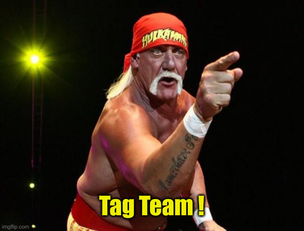 Hulk Hogan | Tag Team ! | image tagged in hulk hogan | made w/ Imgflip meme maker