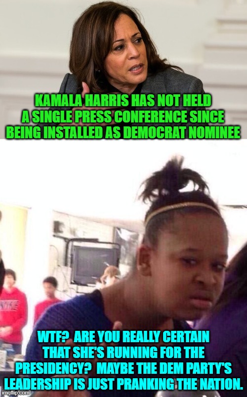 That would make so much more sense. | KAMALA HARRIS HAS NOT HELD A SINGLE PRESS CONFERENCE SINCE BEING INSTALLED AS DEMOCRAT NOMINEE; WTF?  ARE YOU REALLY CERTAIN THAT SHE'S RUNNING FOR THE PRESIDENCY?  MAYBE THE DEM PARTY'S LEADERSHIP IS JUST PRANKING THE NATION. | image tagged in black girl wat | made w/ Imgflip meme maker