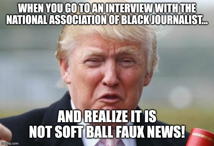 OLDnald fail | WHEN YOU GO TO AN INTERVIEW WITH THE NATIONAL ASSOCIATION OF BLACK JOURNALIST... AND REALIZE IT IS NOT SOFT BALL FAUX NEWS! | image tagged in conservative,republican,kamala harris,trump,donald trump,maga | made w/ Imgflip meme maker