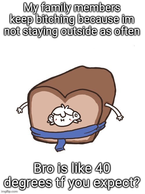 Sherloaf | My family members keep bitching because im not staying outside as often; Bro is like 40 degrees tf you expect? | image tagged in sherloaf | made w/ Imgflip meme maker
