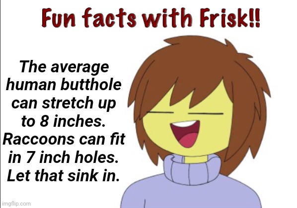 Just let it sink in | The average human butthole can stretch up to 8 inches. Raccoons can fit in 7 inch holes. Let that sink in. | image tagged in fun facts with frisk,butt,raccoon,frisk | made w/ Imgflip meme maker