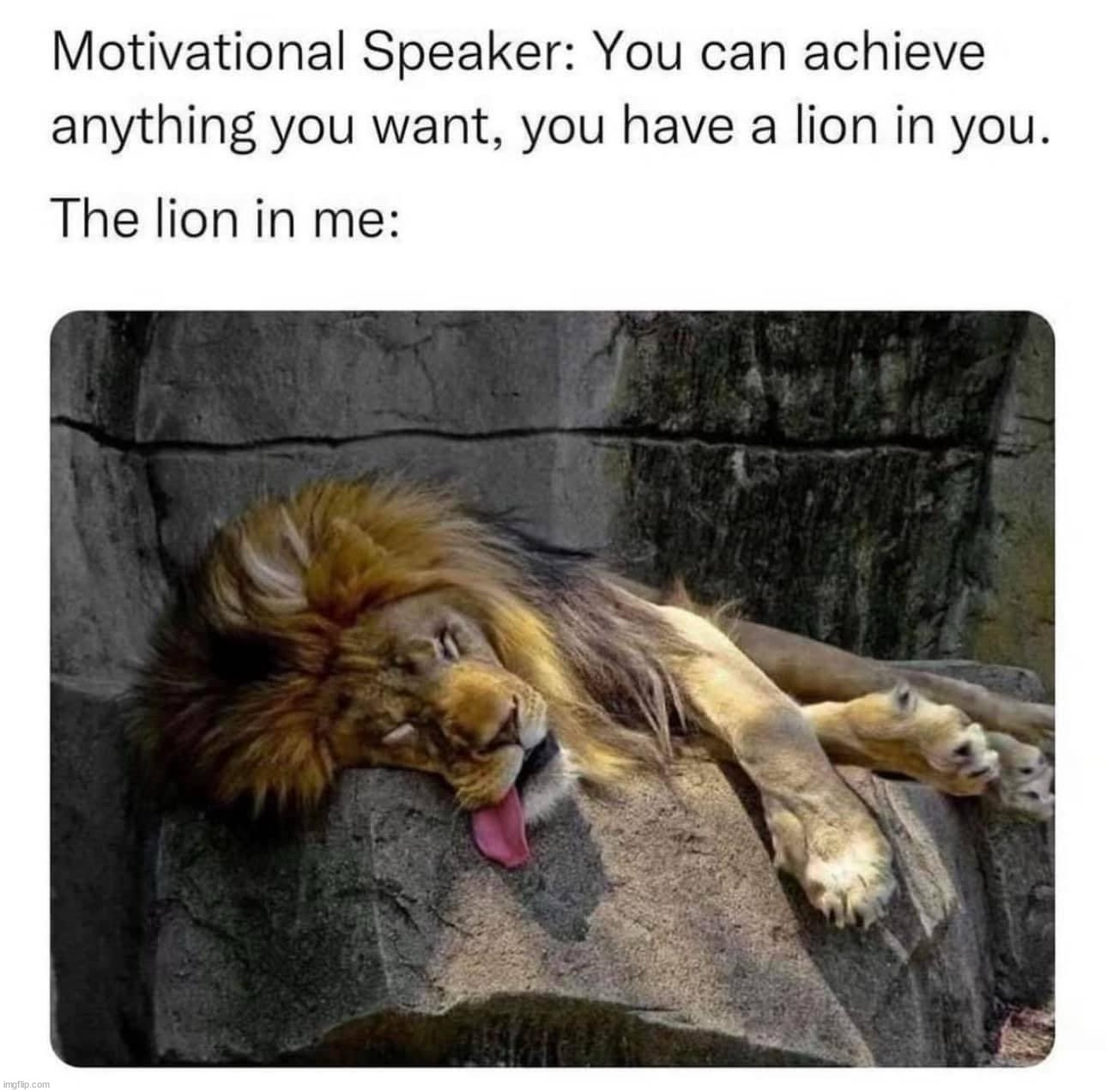 Not lion | image tagged in repost | made w/ Imgflip meme maker