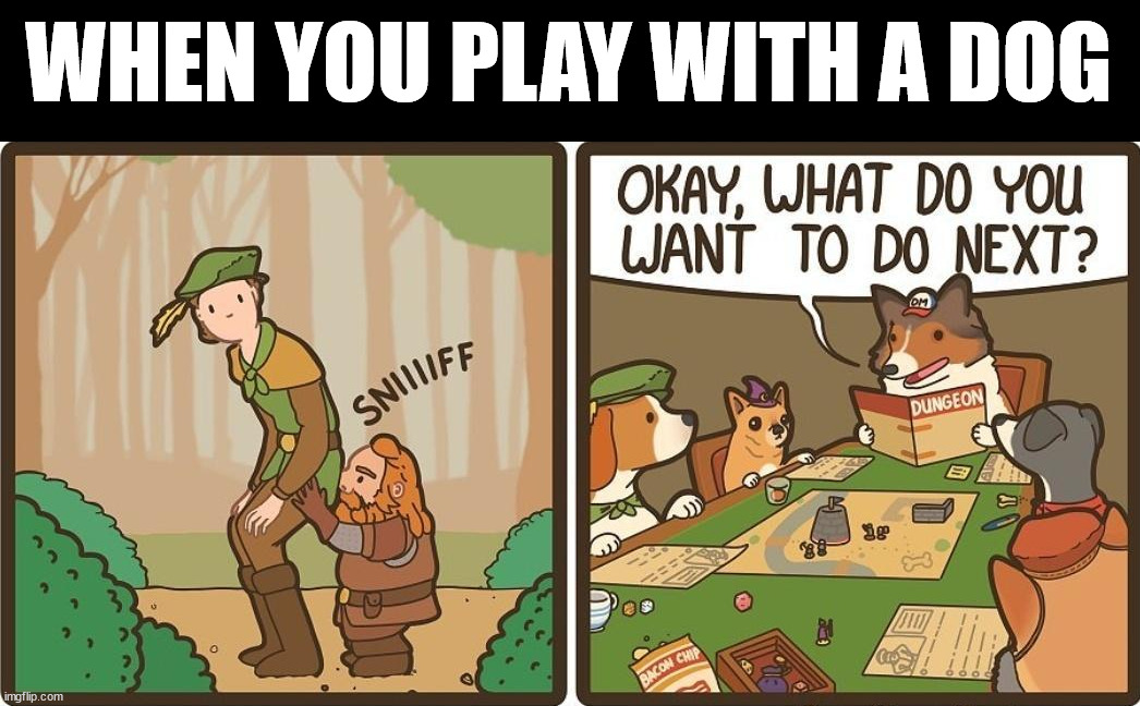 Playing with a dog | WHEN YOU PLAY WITH A DOG | image tagged in dnd | made w/ Imgflip meme maker